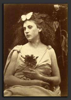Julia Margaret Cameron (British, 1815 - 1879), The Sunflower, 1866-1870, albumen print