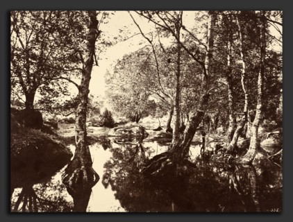 EugÃ¨ne Cuvelier (French, 1837 - 1900), Belle-Croix, 1860s, albumen print from paper negative