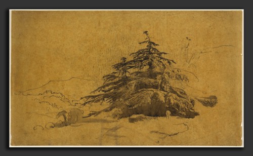 John Varley, Study of Trees in a Landscape, British, 1778 - 1842, pen and brown ink with brown wash