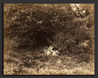 EugÃ¨ne Cuvelier, A Rock in the Forest, French, 1837 - 1900, c. 1865, albumen print from paper