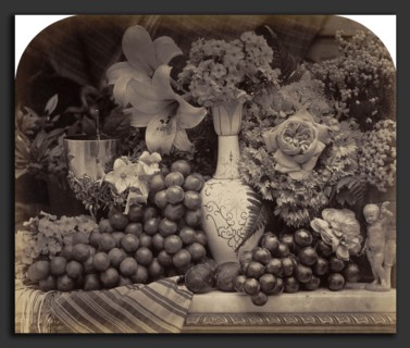 Roger Fenton, Fruit and Flowers, British, 1819 - 1869, 1860, albumen print from collodion negative