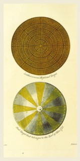 Leather Highland target, Steel target, the Scottish Gael or Celtic Manners, Scotland, 19th century