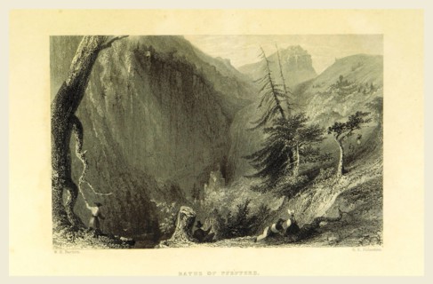 Baths of Pfeffers, Switzerland. Illustrated in a series of views taken expressly for this work by W