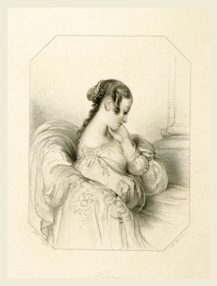 The Shakespeare Gallery, containing the principal female characters in the plays of the great poet,