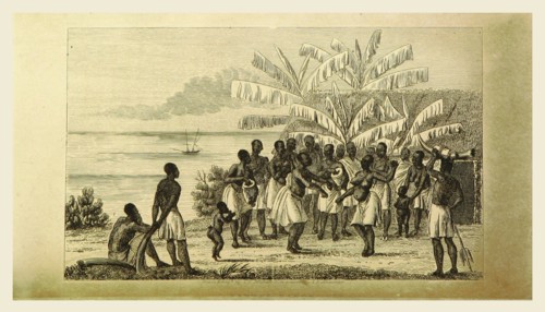Narrative of a Voyage of Observation among the Colonies of Western Africa  and of a campaign in
