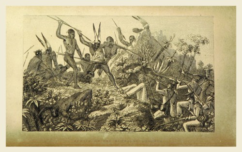 Buffaloe Heights, Narrative of a Voyage of Observation among the Colonies of Western Africa  and of