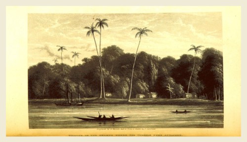 Narrative of an expedition into the interior of Africa, by the River Niger, in the steam-vessels
