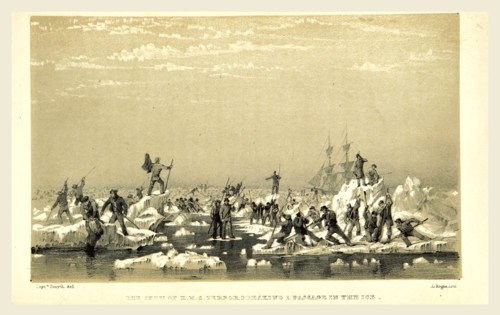 Narrative of an Expedition in H.M.S. Terror, undertaken with a view to geographical discovery on