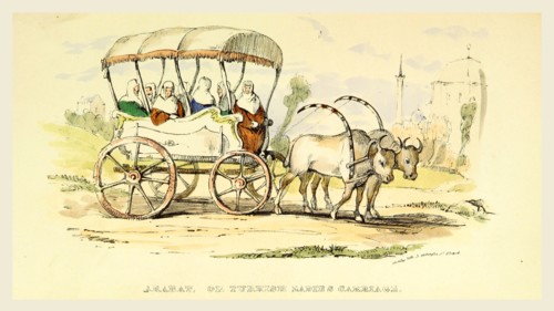 Arabat or Turkish Ladies Carriage, Damascus and Palmyra, a journey to the East, 19th century