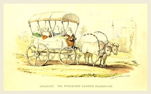 Arabat or Turkish ladies Carriage, Damascus and Palmyra, a journey to the East. With a sketch of