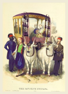 Turkey and the Turks, being the present state of the Ottoman Empire, 19th century engraving