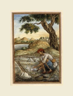 Caste of salt-diggers. Tashrih al-aqvam, an account of origins and occupations of some of the