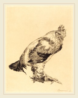 Félix Bracquemond (French, 1833-1914), The Old Cock, 1882, etching