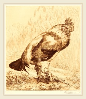 Félix Bracquemond (French, 1833-1914), The Old Cock, 1882, etching