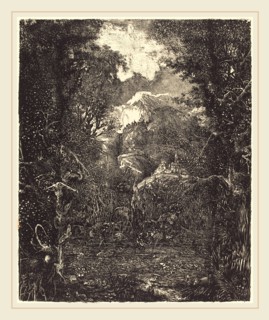 Rodolphe Bresdin (French, 1822-1885), The Towns Behind the Marsh, probably 1868, lithograph