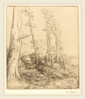 Alphonse Legros, Little Pond (La petite mare), French, 1837-1911, etching