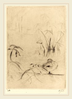 Berthe Morisot (French, 1841-1895), Ducks at Rest on the Bank, 1888-1890, drypoint [reprinted by