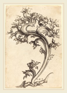 Martin Schongauer (German, c. 1450-1491), Thistle Ornament, engraving