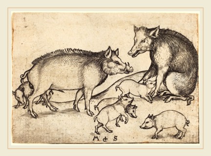 Martin Schongauer (German, c. 1450-1491), Family of Pigs, c. 1480-1490, engraving
