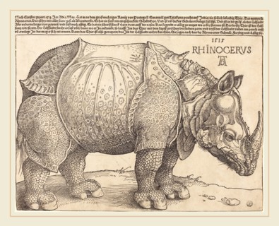 Albrecht DÃ¼rer (German, 1471-1528), The Rhinoceros, 1515, woodcut