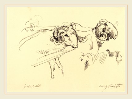 Lovis Corinth, Rams (SchafbÃ¶cke), German, 1858-1925, 1912, lithograph in black on laid paper