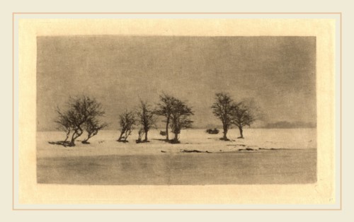 Peter Henry Emerson (British, 1856-1936), Gnarled-Thorn Trees, c. 1890, photogravure, printed c.