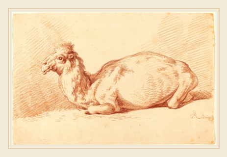 Johann Elias Ridinger (German, 1698-1767), A Dromedary, 1750s, red chalk on laid paper