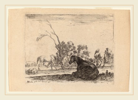Stefano Della Bella (Italian, 1610-1664), Horses in a Pasture, 1642, etching