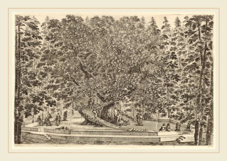 Stefano Della Bella (Italian, 1610-1664), The Inhabited Tree, probably 1653, etching on laid paper