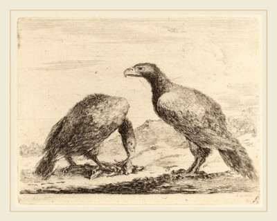 Stefano Della Bella (Italian, 1610-1664), Two Eagles, One Eating a Small Lamb, etching on laid