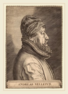 Johan Wierix (Flemish, c. 1549-1615 or after), Andreas Velleius (Anders Sorensen Vedel), engraving