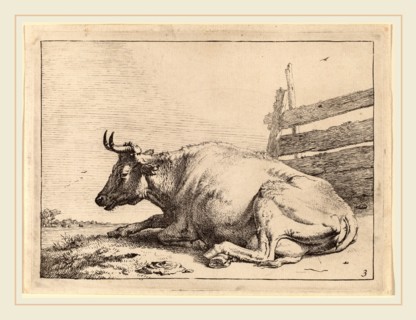 Paulus Potter (Dutch, 1625-1654), Cow Lying Down near a Fence, 1650, etching