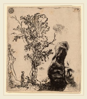Rembrandt van Rijn (Dutch, 1606-1669), Sheet with Two Studies:  a Tree, and the Upper Part of a