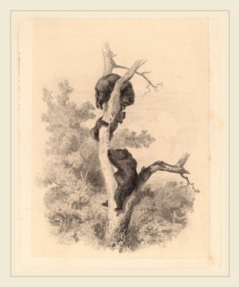 Karl Bodmer, Les ours, Swiss, 1809-1893, etching