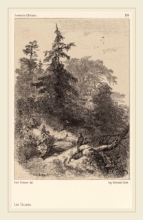 Karl Bodmer, Les Faisans, Swiss, 1809-1893, lithograph