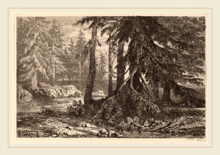 Alexandre Calame, Essais de gravure Ã  l'eau forte par Alexandre Calame, III, pl. 16, Swiss,