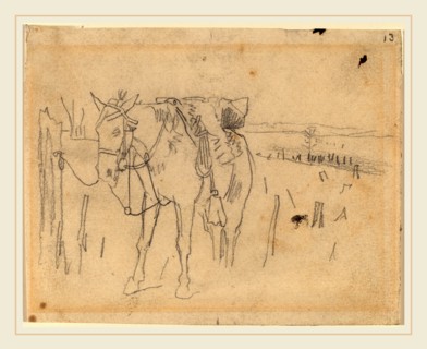 Winslow Homer, Tethered, American, 1836-1910, 1862-1865, graphite on wove paper