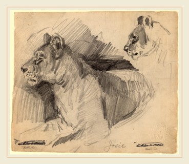 Arthur B. Davies, Josie, American, 1862-1928, 1892, graphite