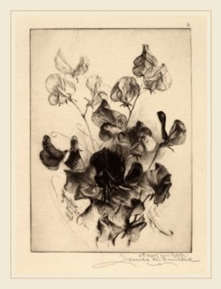 James David Smillie, Sweet Peas, American, 1833-1909, 1891, drypoint