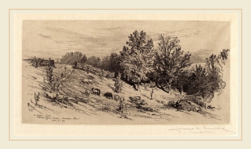James David Smillie, A Fallow Field, American, 1833-1909, 1883, etching in black on Japan paper