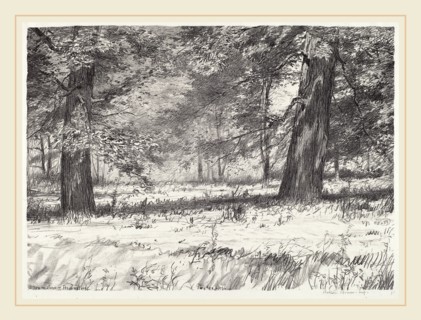 Bolton Brown, Two Maples, American, 1865-1936, 1920, lithograph