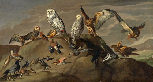 Study of Birds, unknown artist, 18th century, British