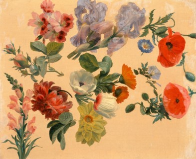 Studies of Summer Flowers, Jacques-Laurent Agasse, 1767-1849, Swiss