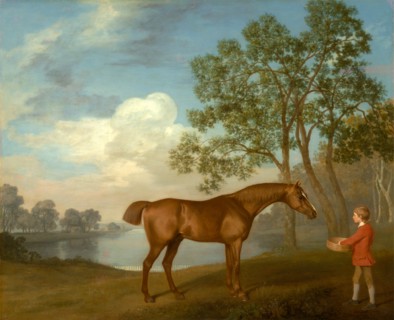 Pumpkin with a Stable-lad Signed and dated, lower right: "Geo: Stubbs pinxit | 1774", George