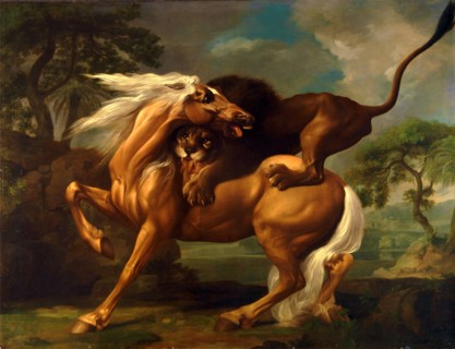 A Lion Attacking a Horse Horse Attacked by a Lion Lion devouring a horse Lion Attacking a Horse,