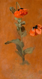 Study of Poppies Signed and dated in graphite or charcoal: "James [Inskipp] July 9th, 1832", James