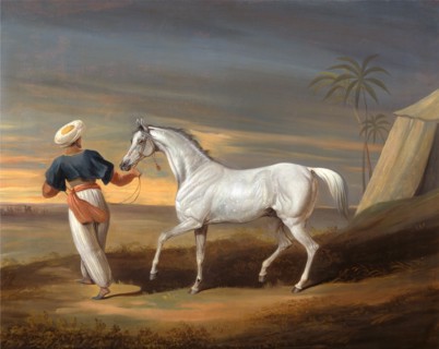 Signal, a Grey Arab, with a Groom in the Desert Inscribed in paint, lower center: "Signal." Signed