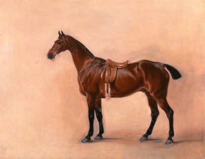 Study of a Saddled Bay Hunter Dated, lower right: "1828", John Ferneley, 1782-1860, British