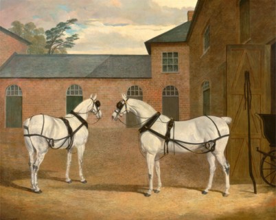 Grey carriage horses in the coachyard at Putteridge Bury, Hertfordshire Mr. Sowerby's Grey Carriage