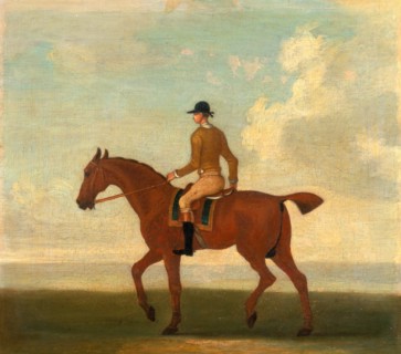 One of Four Portraits of Horses - a Chestnut Racehorse with Jockey Up: walking to the left; jockey